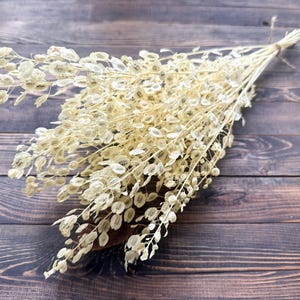 Puede incluir: Un ramo de Lunaria seca, tambi&eacute;n conocida como moneda del Papa, con delicadas vainas redondas. Los tallos est&aacute;n atados con hilo. El arreglo se presenta sobre un fondo de madera oscura, creando una est&eacute;tica natural y r&uacute;stica.