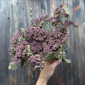 May include: A bouquet of dried purple flowers with small, clustered blooms and green stems. The flowers are held together with twine. The background is a dark wooden surface.