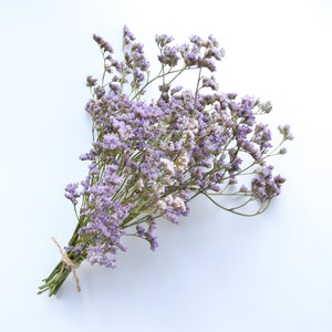 Peut inclure: Un bouquet de fleurs de statice séchées, principalement violettes, avec des têtes de fleurs plus claires et séchées. Les tiges sont vertes et l'ensemble est attaché avec de la ficelle. L'image est sur fond blanc.