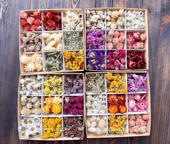 Dried Flowers for Craft, Dried Flowers Confetti, Candle making kit, DIY , Kit Box, Mini Preserved Flower