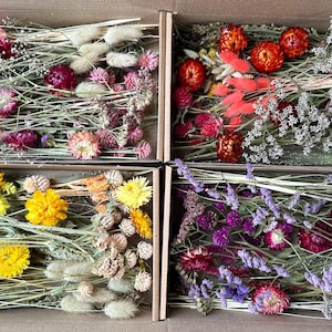 May include: Four cardboard boxes filled with dried flowers in various colours. The flowers include pink, purple, yellow, orange, and white varieties. The boxes are arranged side by side, showcasing the different floral arrangements.