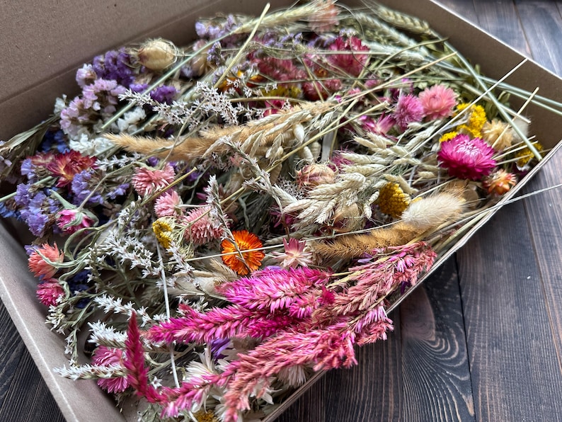 Dried Flower MEGA Box, Craft Pack, Mini Preserved Flower, Dry Flowers Epoxy Resin, Jewelry Craft, DIY Material, Candle Making image 5