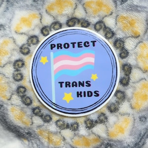 Protect Trans Kids Sticker