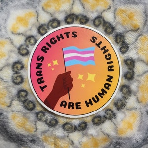 Trans Rights Are Human Rights Sticker