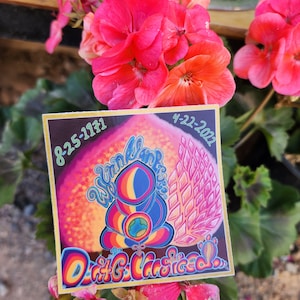 Don&#39;t Go Unnoticed Sticker