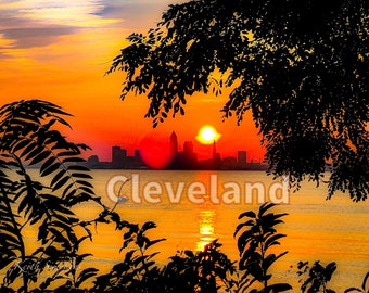 Cleveland through the Trees Postcards, Original Art Postcard, Landscape Photography Postcard