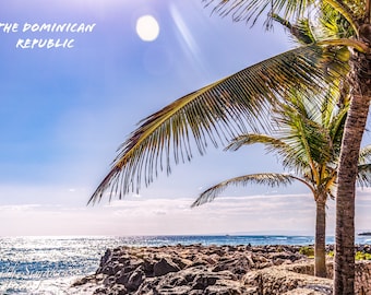 Dominican Republic Palm Tree Landscape Postcard, Art Postcards, Original Art Postcards, Fine Art Postcards, POSTCARD