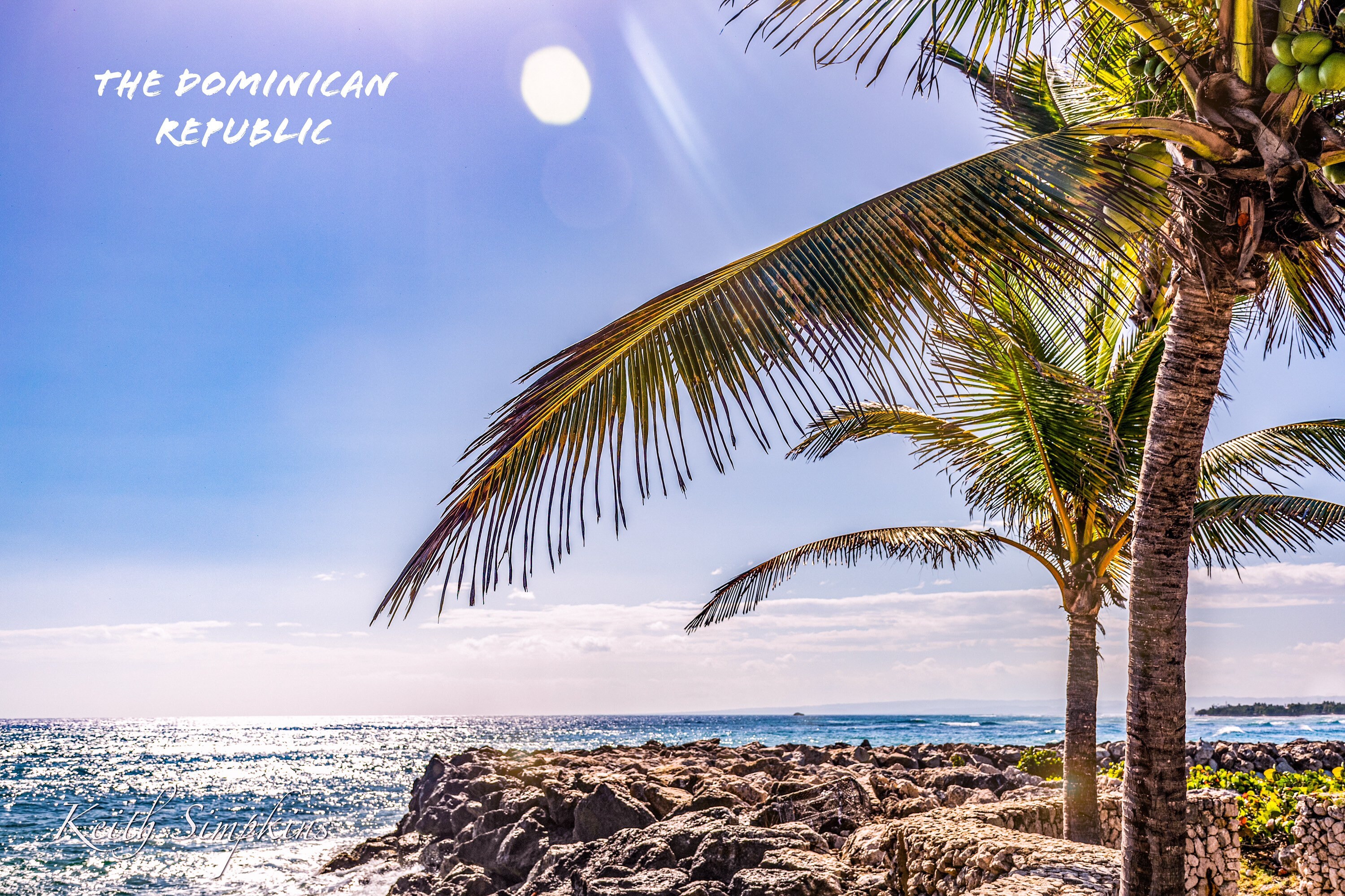 Dominican Republic Palm Tree Landscape Postcard, Art Postcards