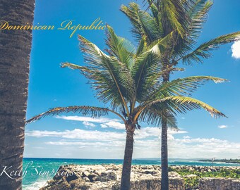 Dominican Republic Palm Trees Postcard, Original Photography, Landscape Postcard