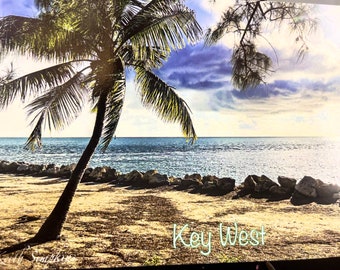 Key West Sunset Postcard, Palm Tree Photography