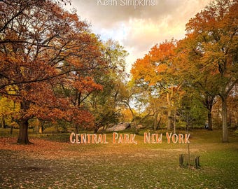 Central Park in Fall Postcard, Landscape Postcard, Digital Photography Postcard