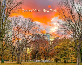 Autumn Fire Over Central Park, Landscape Postcard, Digital Photography Postcard