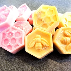 Wax Tart Parasoy Wax Melt Wickless Scented Wax Melt Cinnamon Spiced Vanilla Strongly Scented Wax Melts Oval Scent Shot
