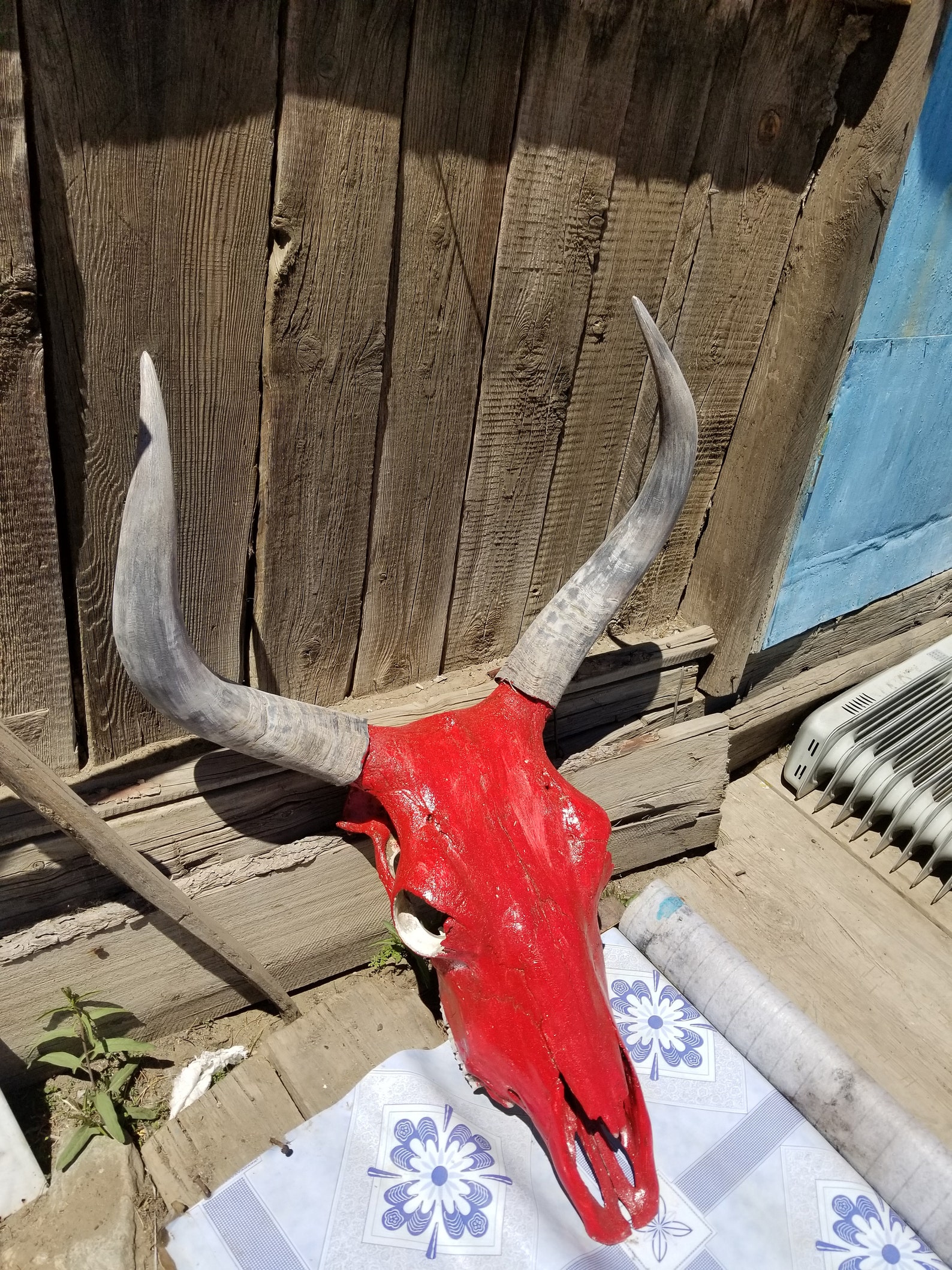 Bull Skull Etsy