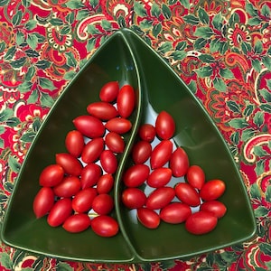Mid century green divided dish
