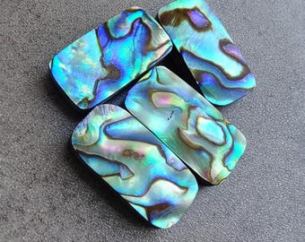 Natural Abalone Cabochon Shall Big cushion Flat Back Calibrated For loose Gemstone