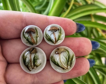 May include: Four clear, round resin cabochons, each containing a miniature mushroom and green plant life. The mushrooms have brown caps and white stems. The cabochons are held in a hand against a background of green foliage.