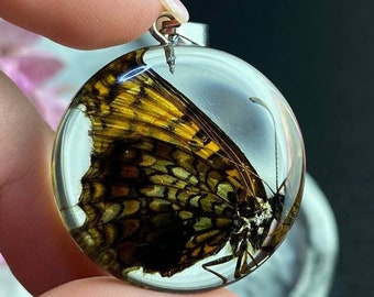 Real Preserved Butterfly Necklace, Real Insect Pendant, Butterfly Jewelry, Butterfly Gifts For Women, Special Gift For Insect Lovers