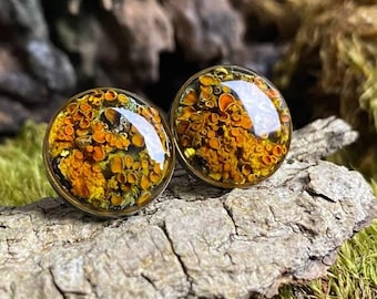 Handmade Resin Lichen Stud Earrings: Forest Terrarium Jewelry