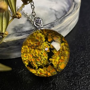 Puede incluir: Un collar de cadena de plata con un colgante redondo que presenta un liquen amarillo y naranja encerrado en resina transparente.
