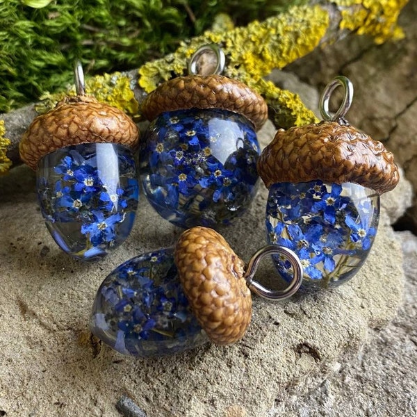 Acorn Pendant, Acorn Necklace with Forget me not, Real Flower Necklace, Acorn jewelry, Forget me not Resin