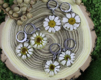 Real Daisy Earrings: Resin-Preserved Flower, Stainless Steel