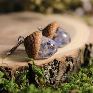 Peut inclure: Une paire de boucles d'oreilles en forme de gland. Les boucles d'oreilles présentent un chapeau de gland naturel et un corps en résine transparente rempli de petites fleurs bleues. Les boucles d'oreilles sont présentées sur une surface en bois avec de la mousse au premier plan.