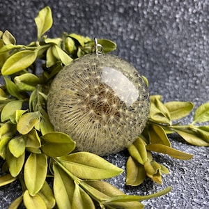 Dandelion Necklace Pendant, Dried Flower Necklace, Natural Dandelion,