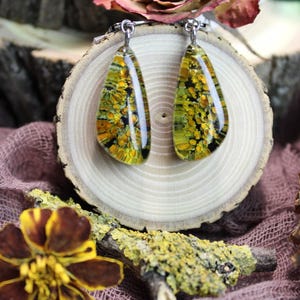 Lichen earrings, Forest earrings, goblincore earrings, Terrarium lichen jewelry