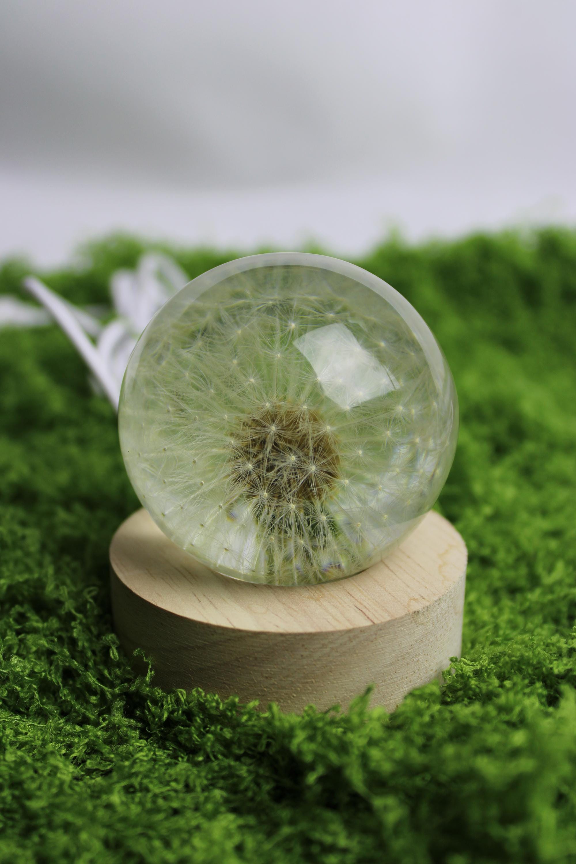 アンティーク雑貨 90s VINTAGE HAFOD GRANGE PAPERWEIGHTS L Hafod Grange - Etsy
