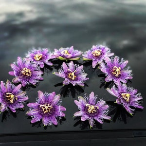 May include: A close-up of nine purple passion flowers arranged in a circle on a black surface. The flowers have white edges and yellow centers.