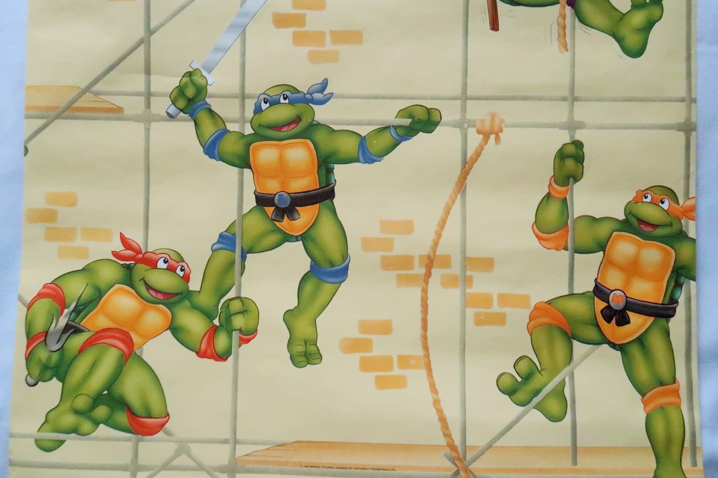 Teenage Mutant Ninja Turtles Wallpaper Border