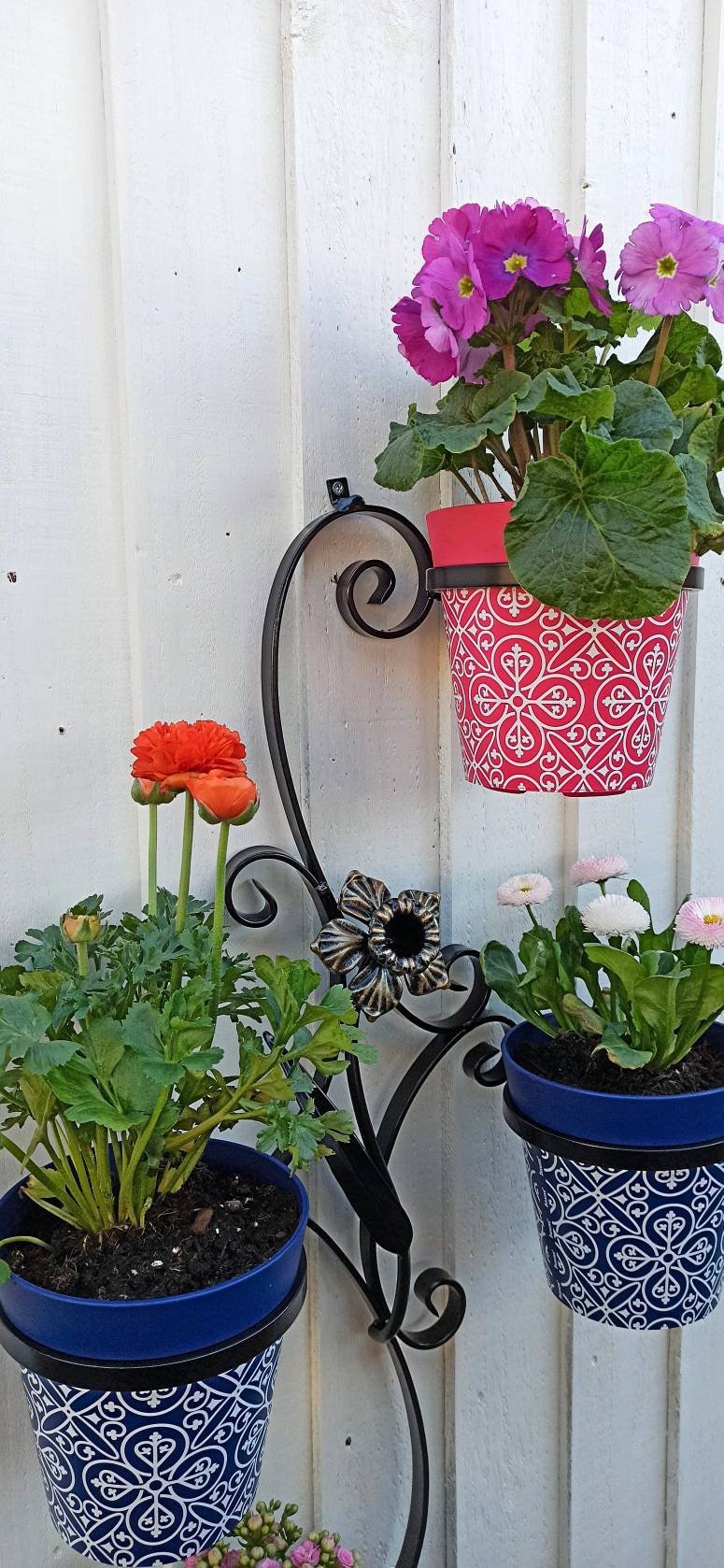 Daffodil Wall Plant Flower Pot Holder, Wall Decoration, Metal