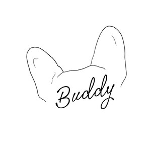 Pet ear portrait