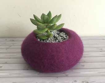 Felt succulent Planter / Macetero para suculenta / home decor cactus / decoración hogar cactus / Indoor mini planters