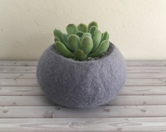 Felt succulent Planter / Macetero para suculenta / home decor cactus / decoración hogar cactus / Indoor mini planters