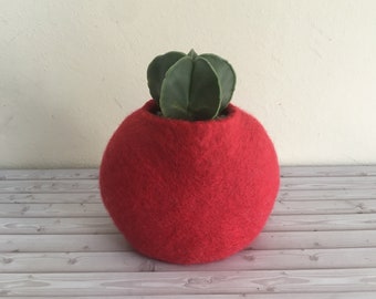 Felt succulent Planter / Macetero para suculenta / home decor cactus / decoración hogar cactus / Indoor mini planters