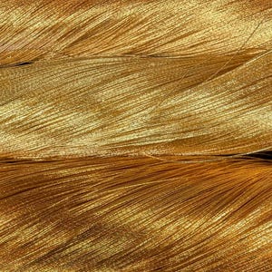May include: Close-up of a bundle of shiny, golden threads. The threads are tightly packed together, creating a textured surface. The colour is a rich, metallic gold, reflecting light and adding a luxurious feel. The image highlights the intricate details of the material.