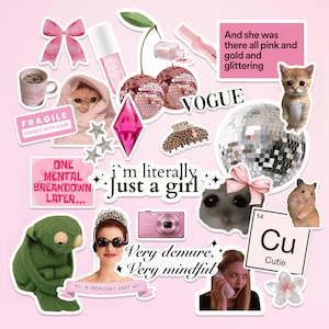 Niedliche Girly Sticker Blatt Ästhetische Aufkleber Kokette Junk Journaling Journal Stickers Planer Hamster Sticker Pack DDP Bild 2
