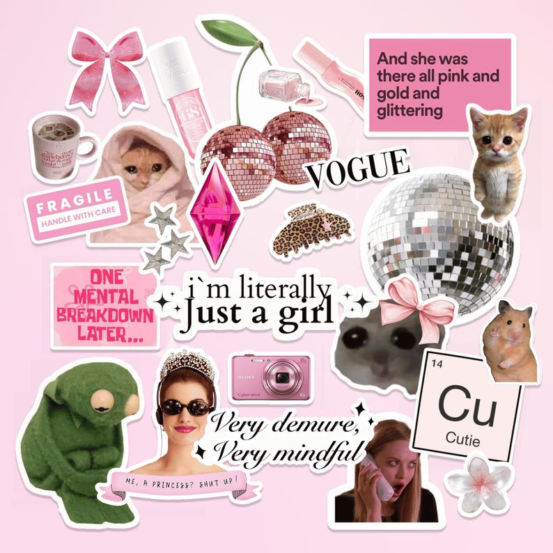Niedliche Girly Sticker Blatt Ästhetische Aufkleber Kokette Junk Journaling Journal Stickers Planer Hamster Sticker Pack DDP Bild 2