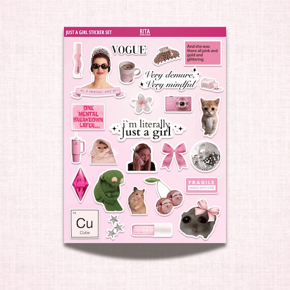 Cute Girly Sticker Sheet Aesthetic Stickers Coquette Junk Journaling Journal Stickers Planner Hamster Sticker Pack DDP