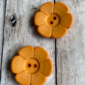 May include: Two orange plastic flower-shaped buttons with two holes each.