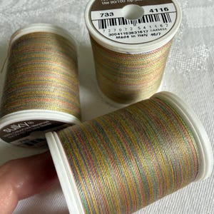 Sulky 30wt Blendables 4116 GARDEN FLORALS, Variegated heavy 30 wt thread for quilting, top stitch, applique, 500 yd spool, ships fast