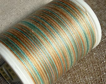 30wt SULKY Blendables 4076 BREEZE, Variegated 30wt thread for  quilting top stitch applique embroidery 500 yd spool, ships FaST