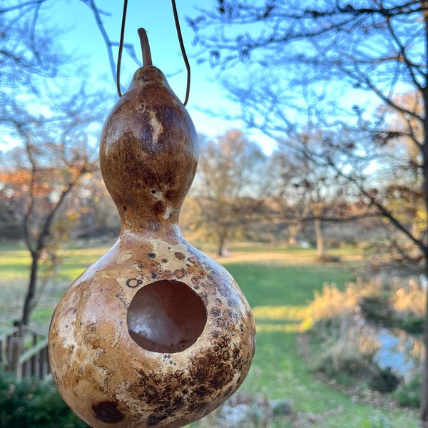 Gourd birdhouse