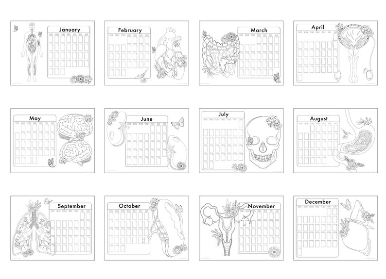 2023 Adult Coloring Calendar Anatomy Biology Theme Bohemian Etsy