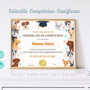 Puede incluir: Un certificado de graduación para cachorros con marco dorado, con ilustraciones de perros. El certificado incluye el texto "Certificado de finalización para cachorros" y "Name Here". Descarga instantánea y edición en línea.