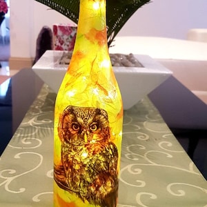 Lámpara de botella iluminada decorada a mano con diseño de búho Un regalo único de cumpleaños/aniversario/boda/inauguración de la casa