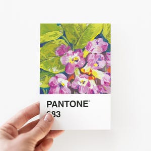 Carte postale Mayflower de la Nouvelle-Écosse (Pantone 383)