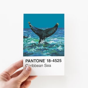 Carte postale baleine (Pantone 18-4525)